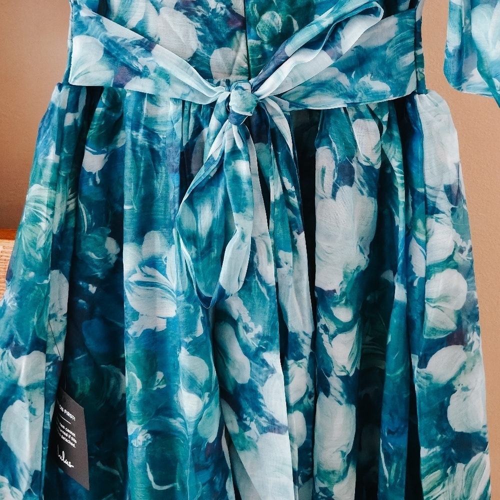 NWT Lulus Flowering Day Dream Teal Blue Floral Organza Midi Dress – Size S - Picture 9 of 15
